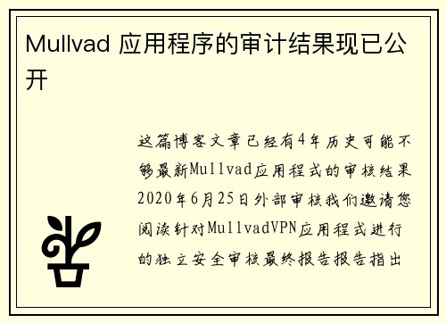Mullvad 应用程序的审计结果现已公开 